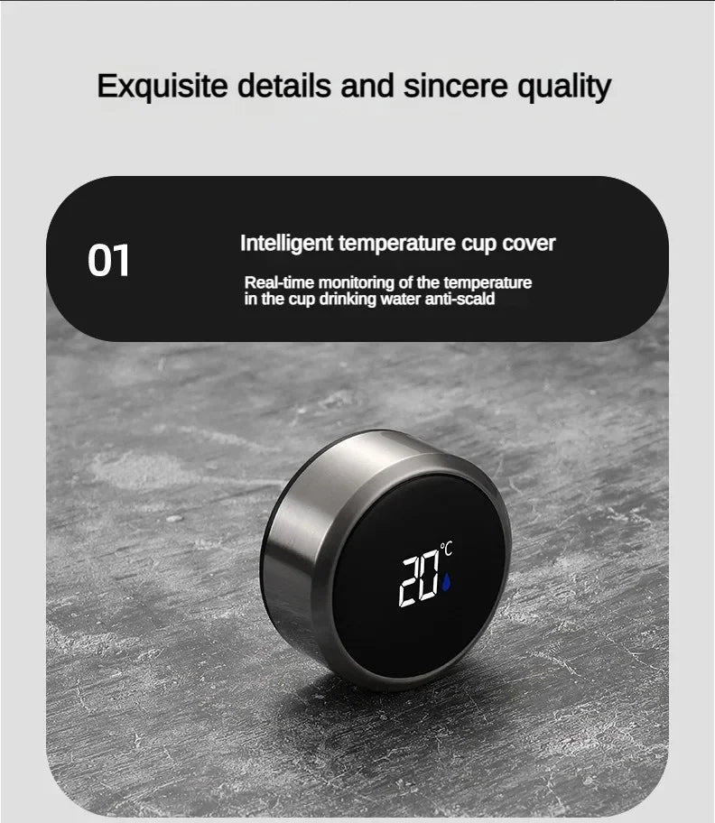 Stainless Steel, Vacuum Bottle, LED Temperature, Tea, Water, Portable