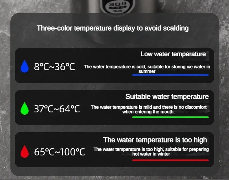 Stainless Steel, Vacuum Bottle, LED Temperature, Tea, Water, Portable