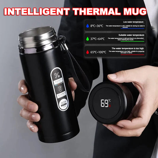 Stainless Steel, Vacuum Bottle, LED Temperature, Tea, Water, Portable